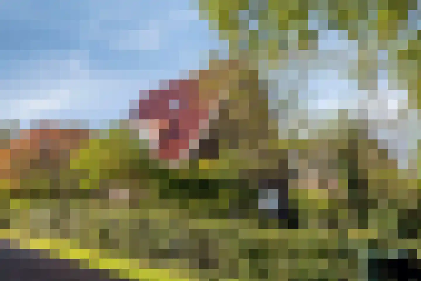 Lageweg 33 Noordlaren thumbnail 95