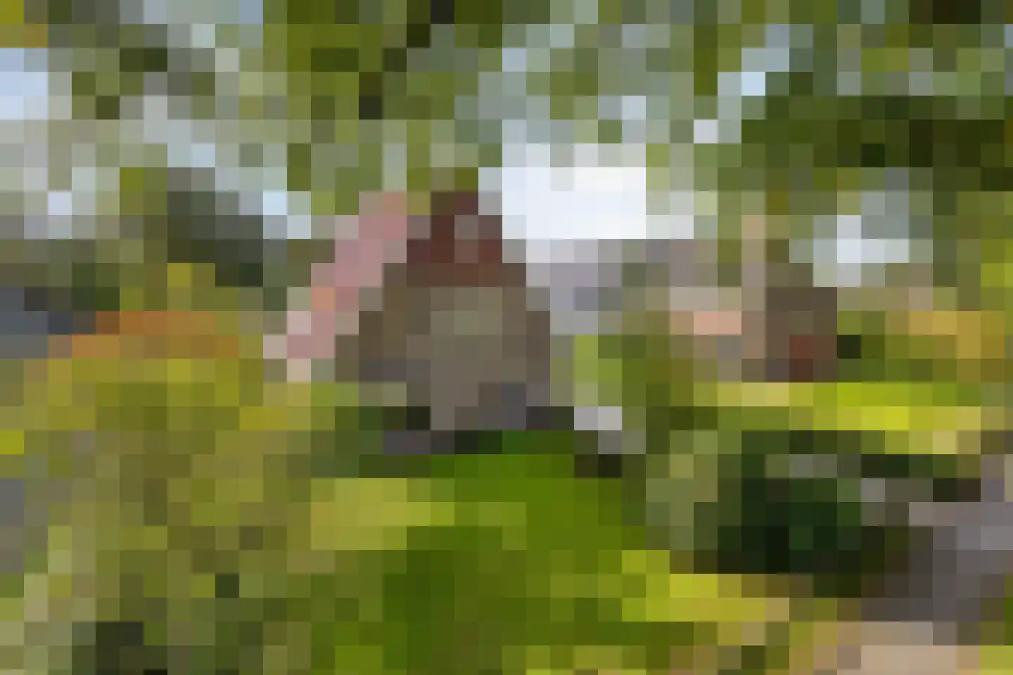 Lageweg 33 Noordlaren thumbnail 96