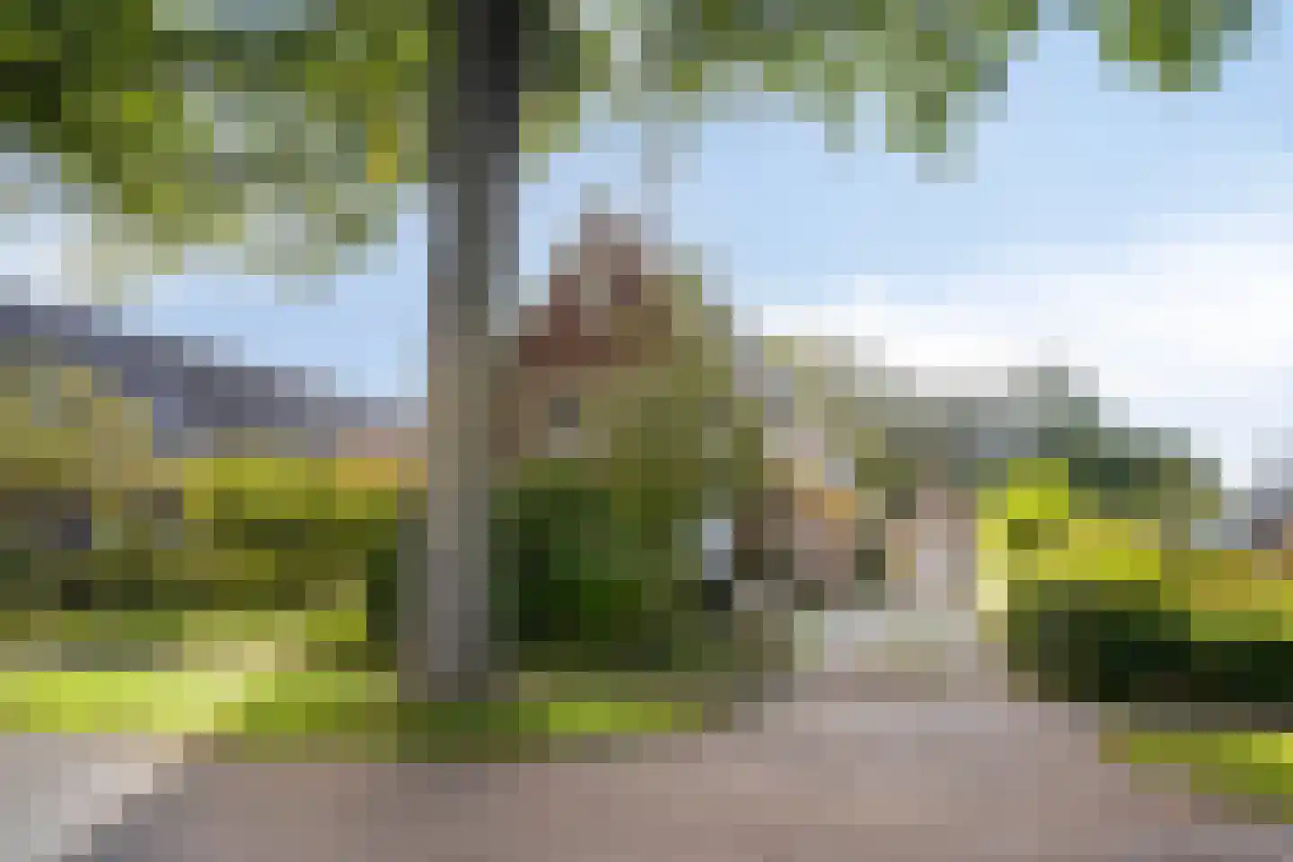 Lageweg 33 Noordlaren thumbnail 98