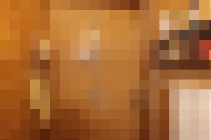 Lageweg 34 Dreumel thumbnail 18