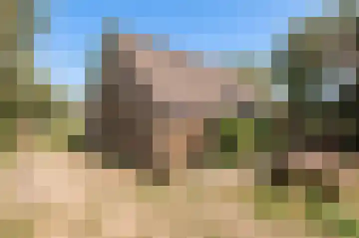 Lageweg 34 Dreumel thumbnail 28