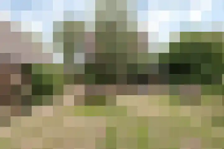 Lageweg 34 Dreumel thumbnail 30