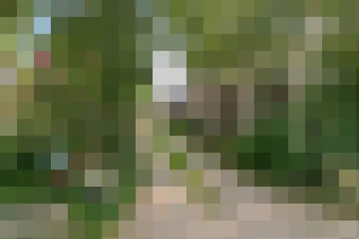 Lageweg 34 Dreumel thumbnail 32