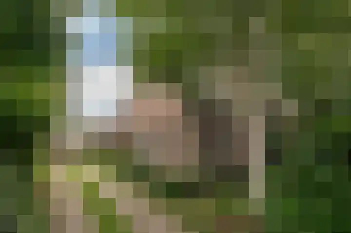 Lageweg 34 Dreumel thumbnail 39