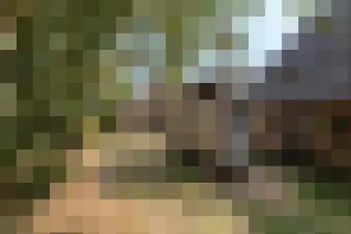 Lageweg 34 Dreumel thumbnail 4