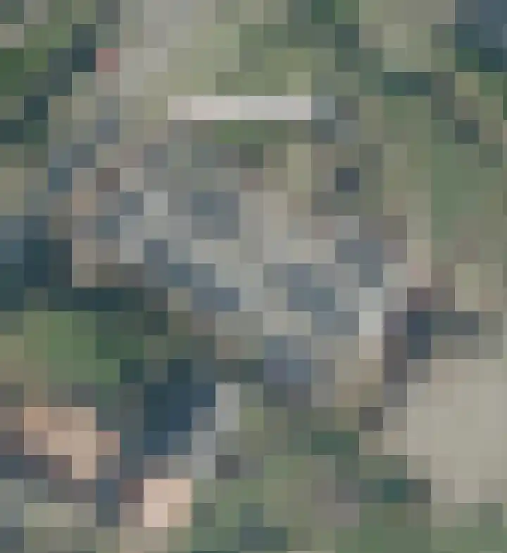 Lageweg 34 Dreumel thumbnail 6