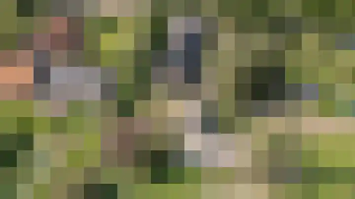 Lageweg 34 Dreumel thumbnail 7