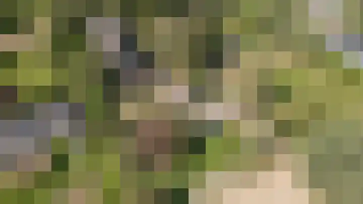 Lageweg 34 Dreumel thumbnail 8