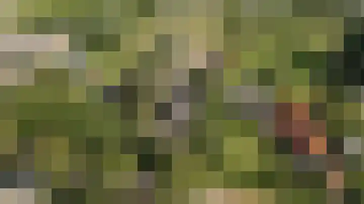 Lageweg 34 Dreumel thumbnail 9
