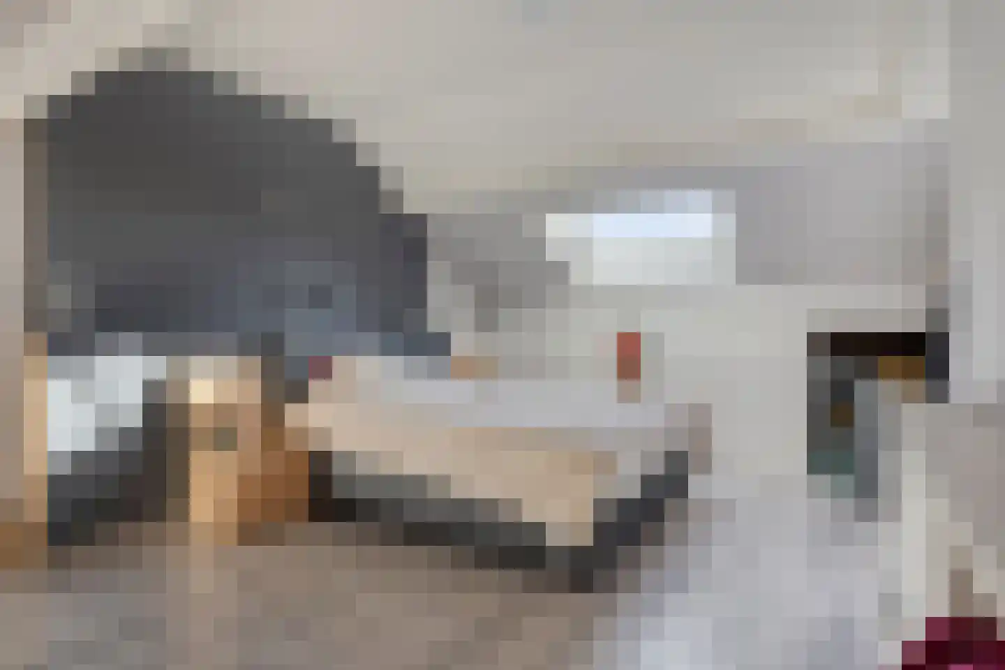 Lageweg 35 a Ossenisse thumbnail 19