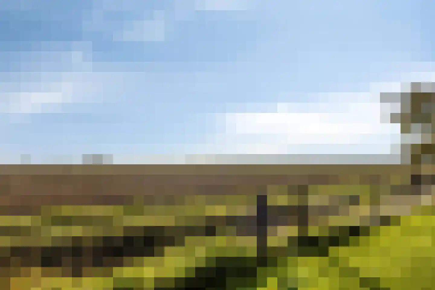 Lageweg 35 a Ossenisse thumbnail 38