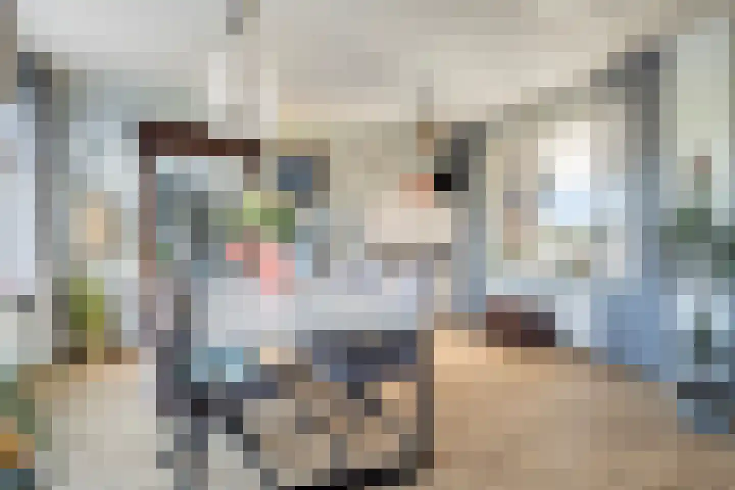 Lageweg 35 a Ossenisse thumbnail 9
