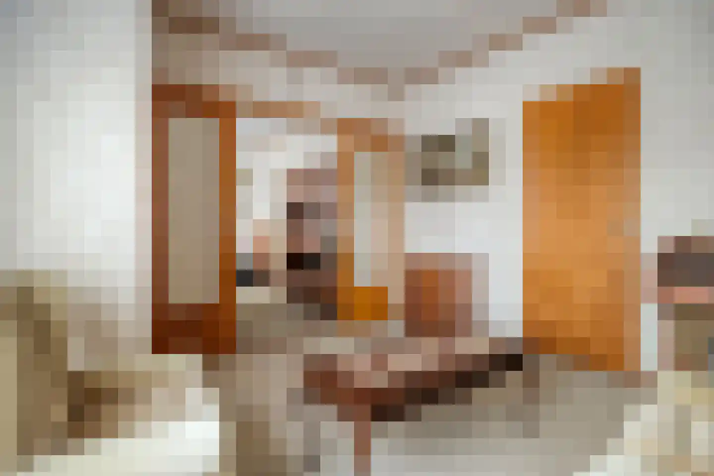 Lageweg 35 Ossenisse thumbnail 12