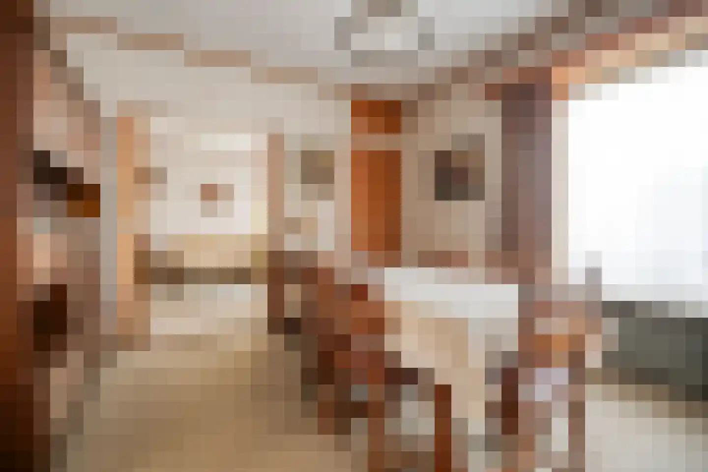 Lageweg 35 Ossenisse thumbnail 15
