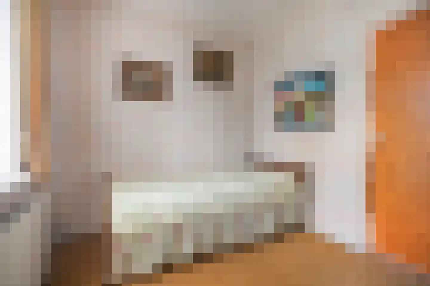 Lageweg 35 Ossenisse thumbnail 21