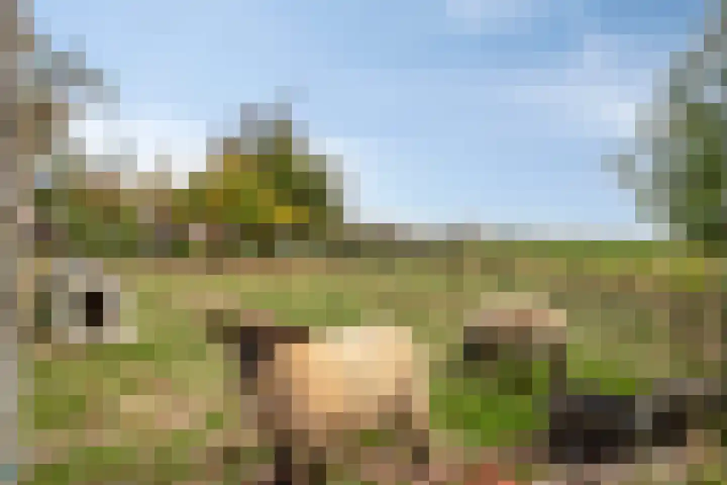 Lageweg 35 Ossenisse thumbnail 35