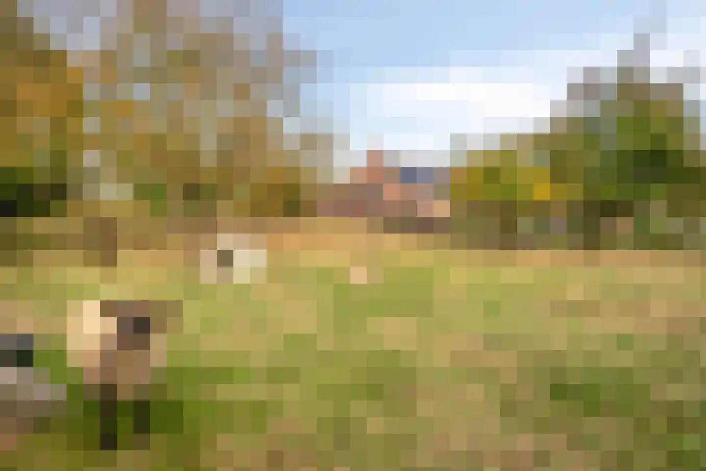 Lageweg 35 Ossenisse thumbnail 36