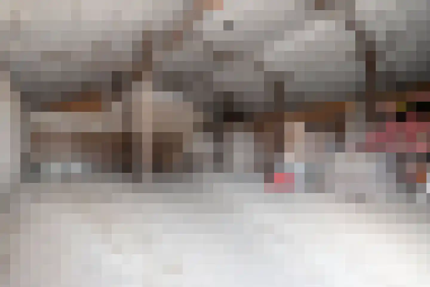 Lageweg 35 Ossenisse thumbnail 4
