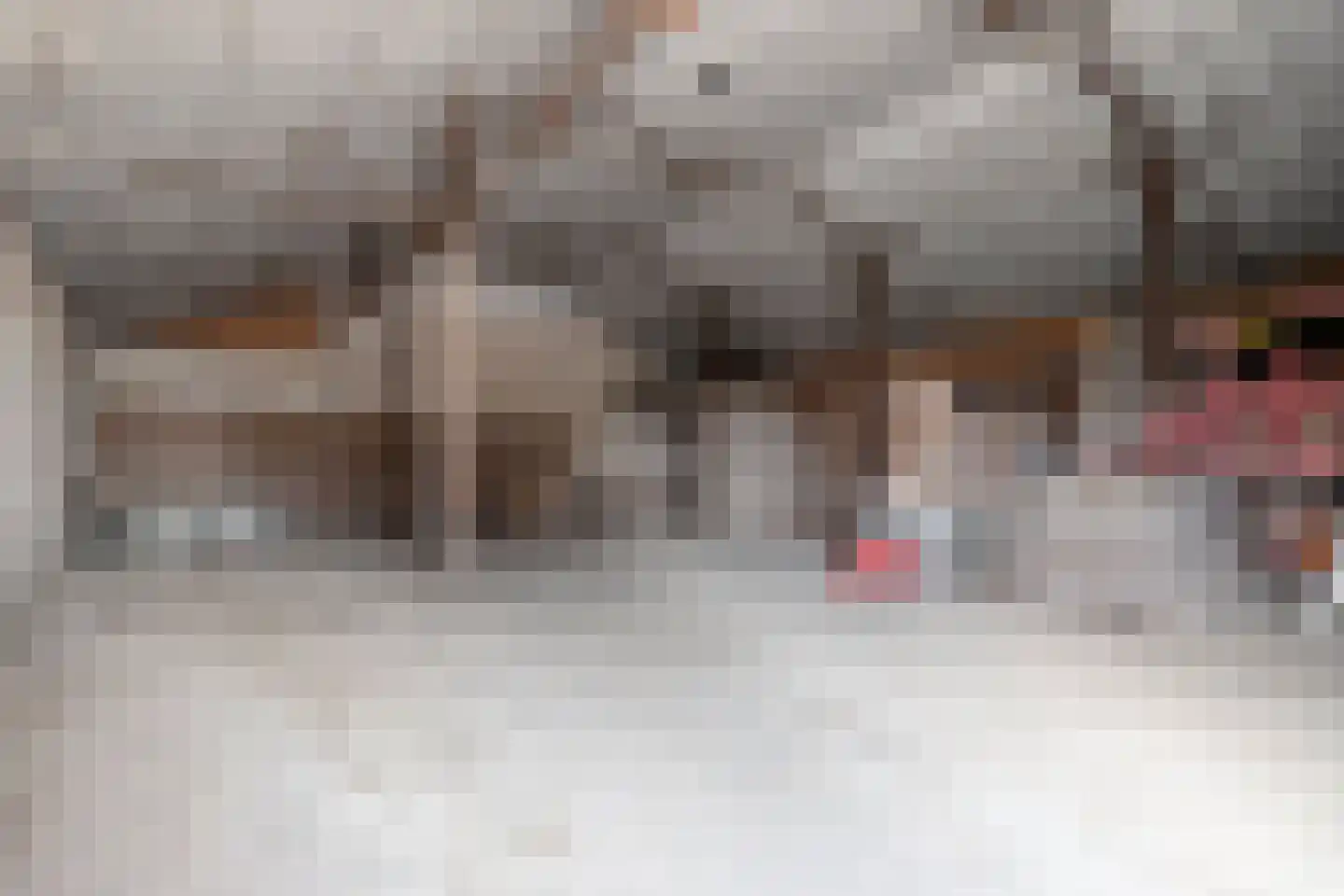 Lageweg 35 Ossenisse thumbnail 44