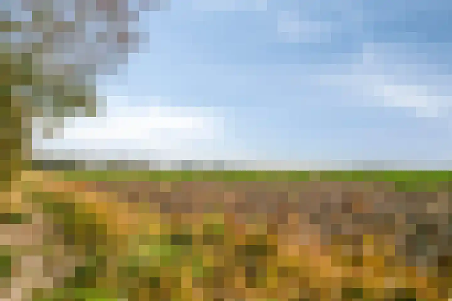 Lageweg 35 Ossenisse thumbnail 45