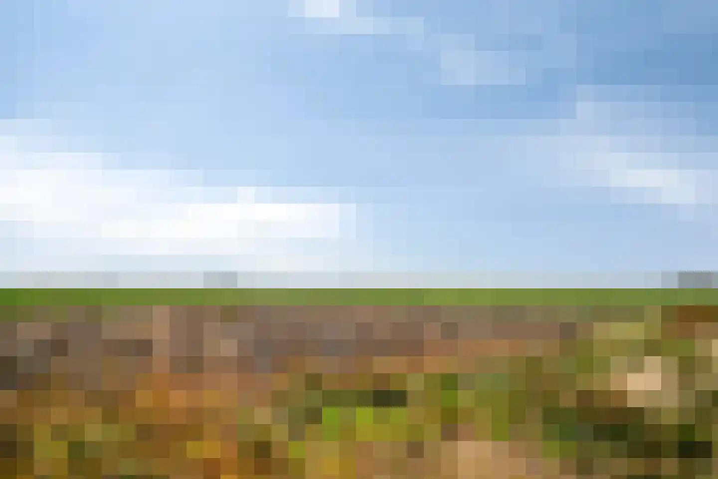 Lageweg 35 Ossenisse thumbnail 46
