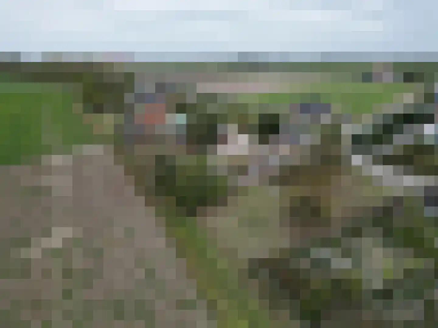 Lageweg 35 Ossenisse thumbnail 47