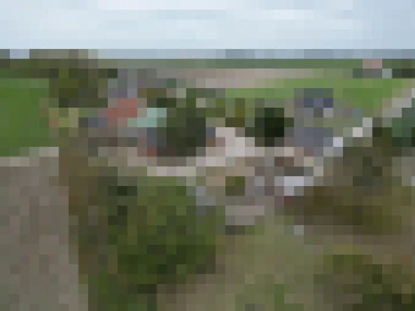 Lageweg 35 Ossenisse thumbnail 48