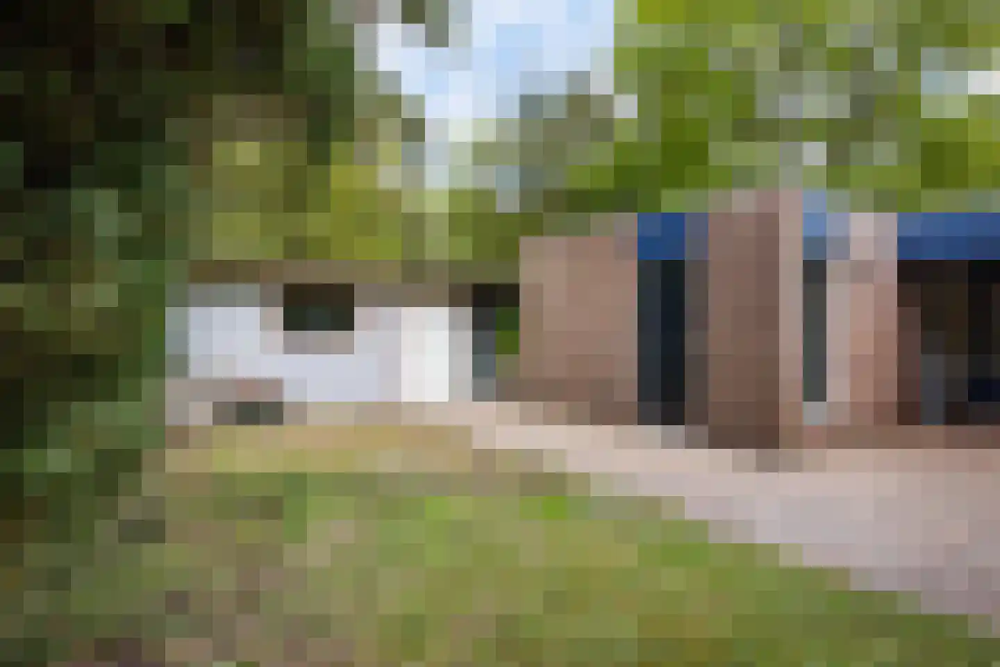 Lageweg 35 Sellingen thumbnail 10