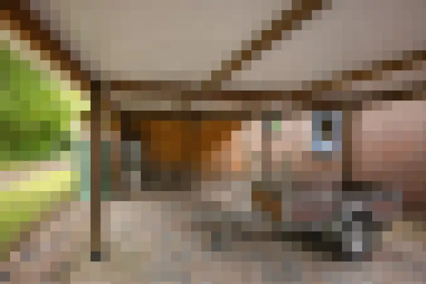 Lageweg 35 Sellingen thumbnail 11