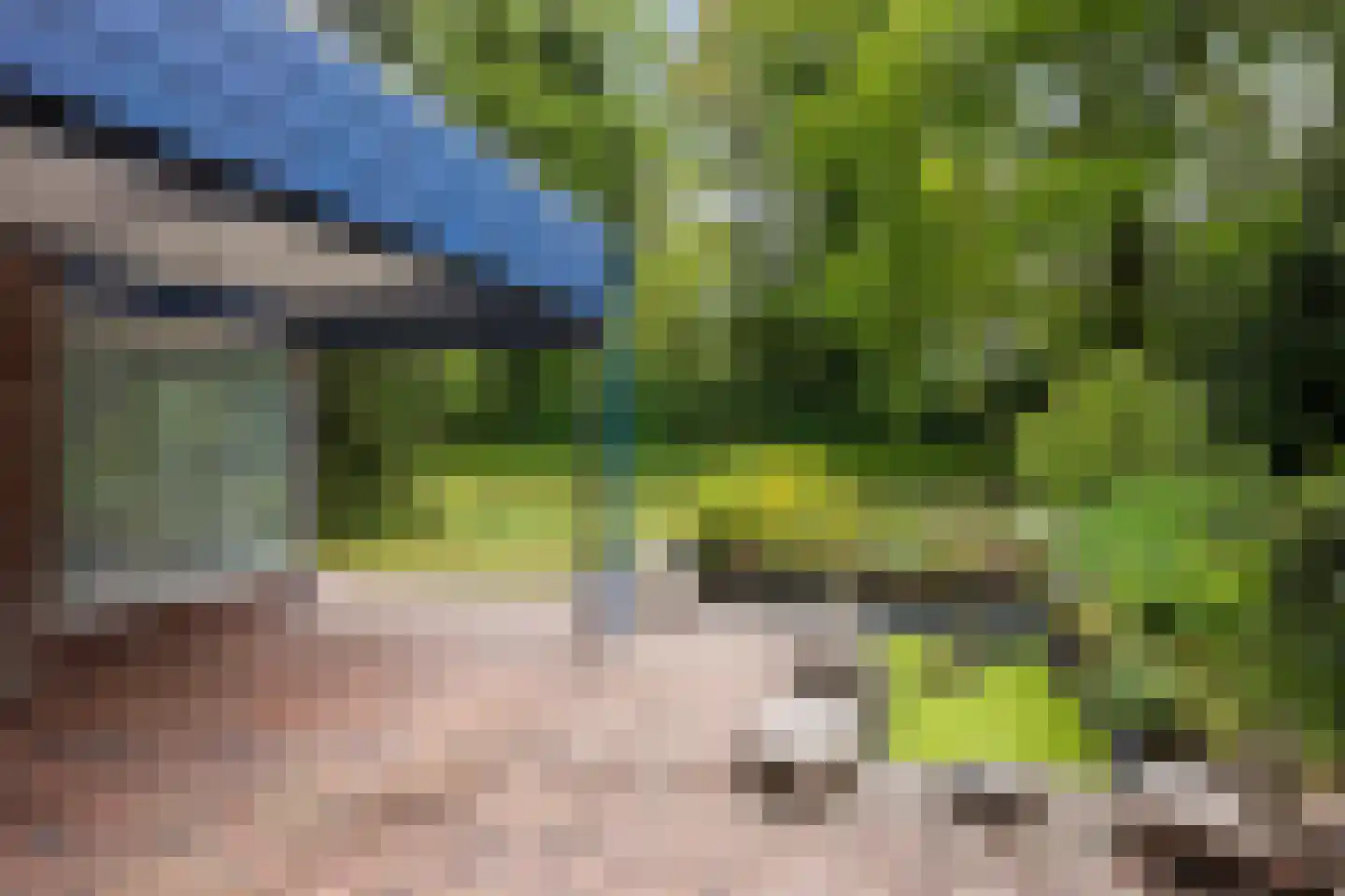 Lageweg 35 Sellingen thumbnail 14