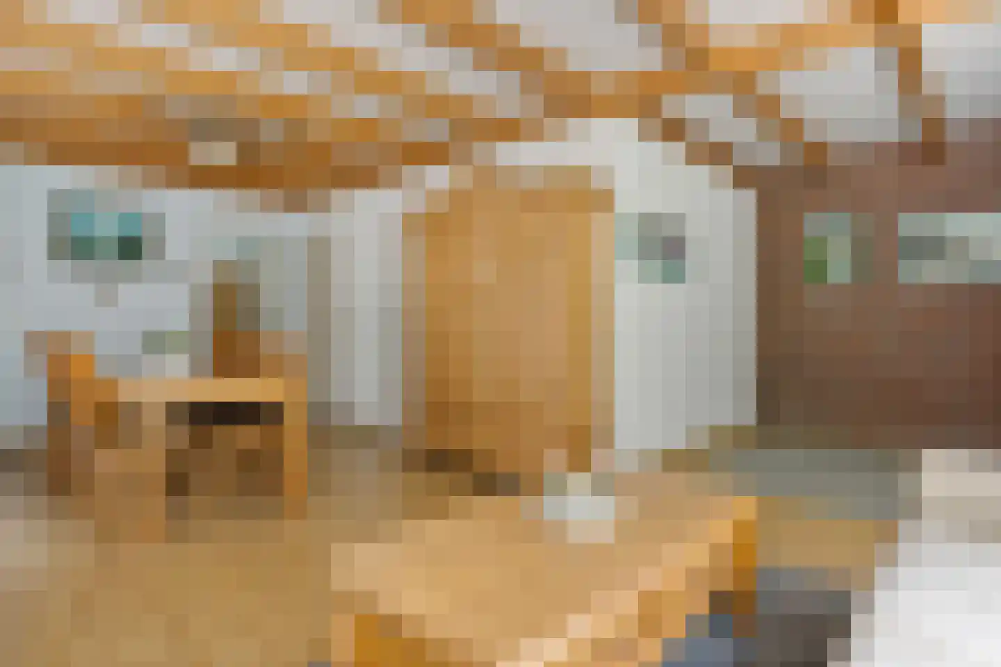 Lageweg 35 Sellingen thumbnail 30