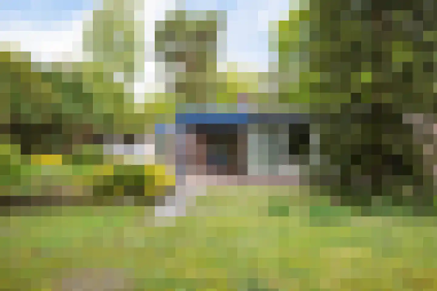 Lageweg 35 Sellingen thumbnail 4