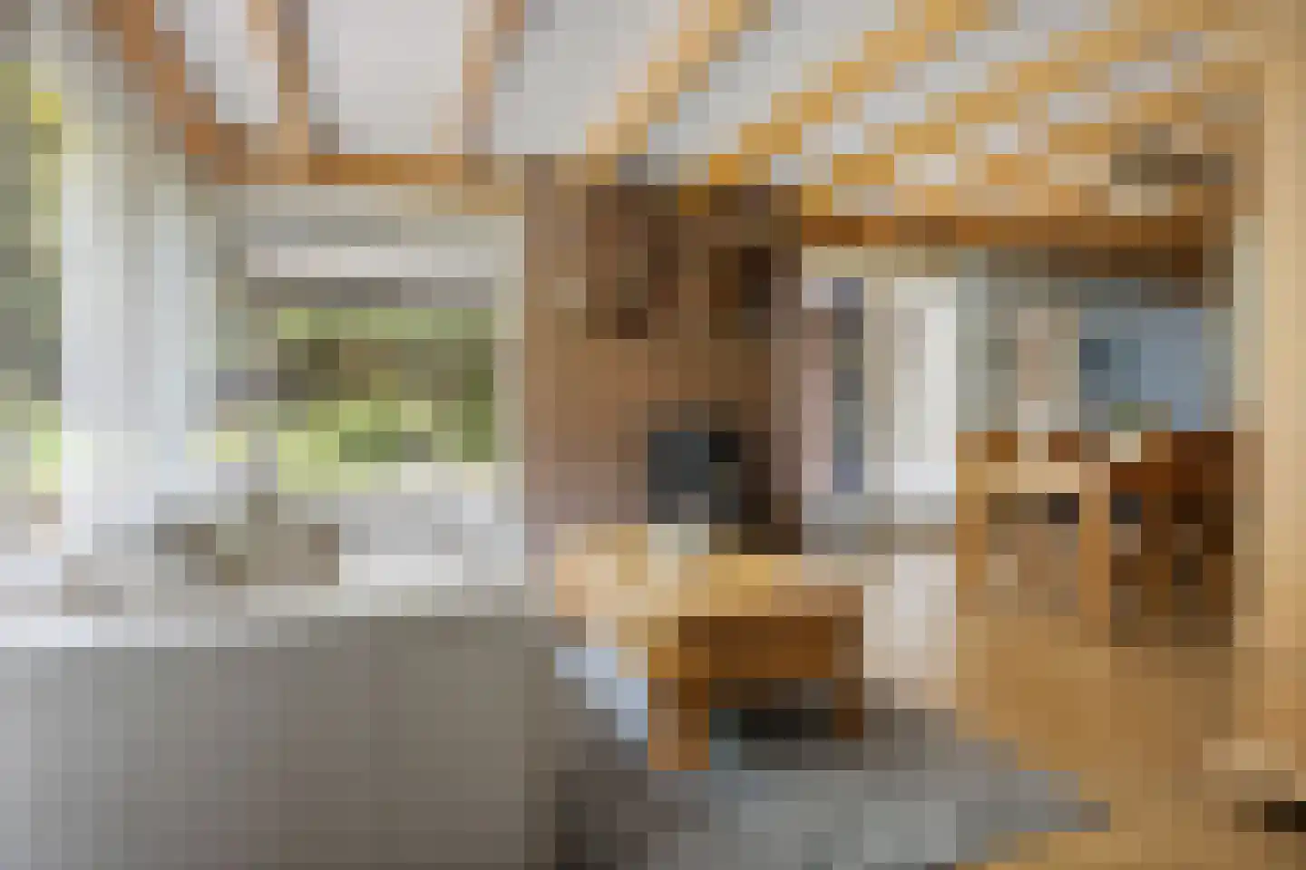Lageweg 35 Sellingen thumbnail 41