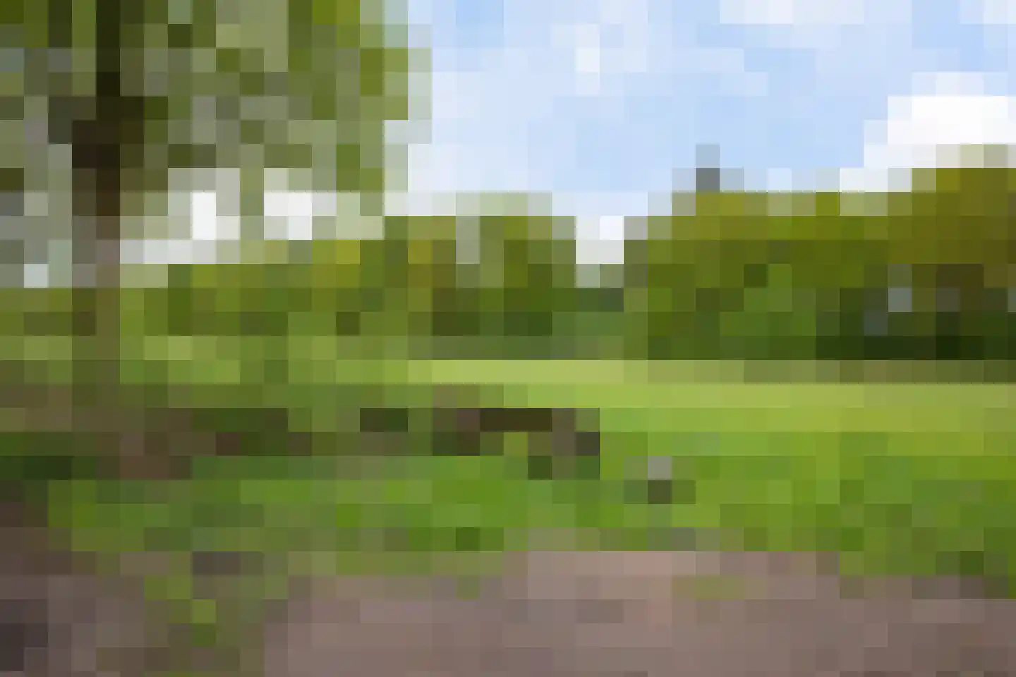 Lageweg 35 Sellingen thumbnail 43