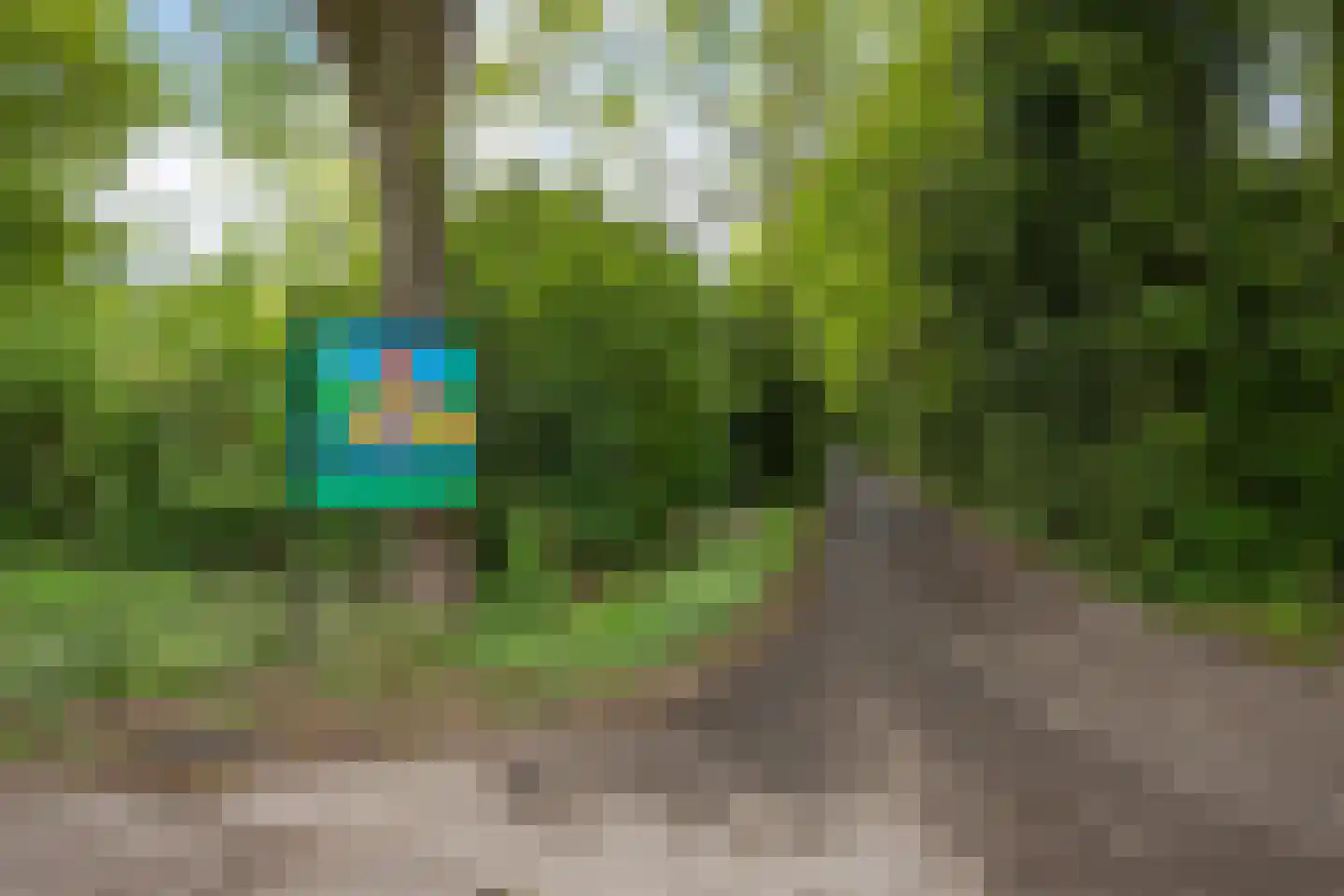 Lageweg 35 Sellingen thumbnail 44