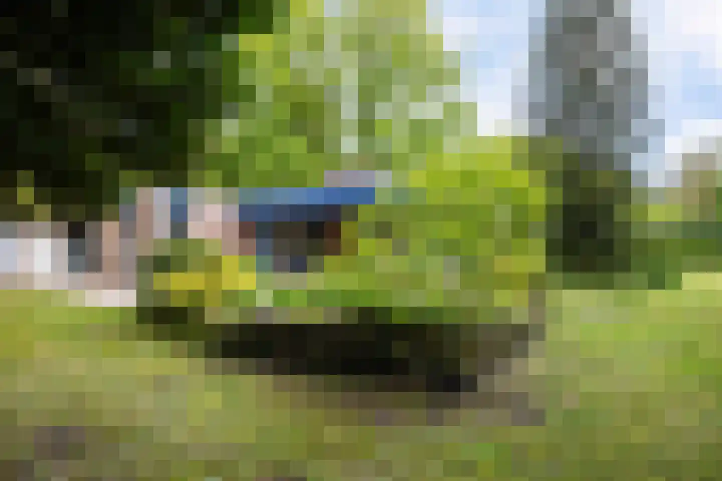 Lageweg 35 Sellingen thumbnail 5