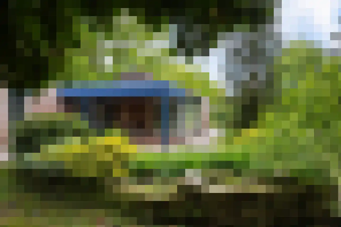 Lageweg 35 Sellingen thumbnail 6