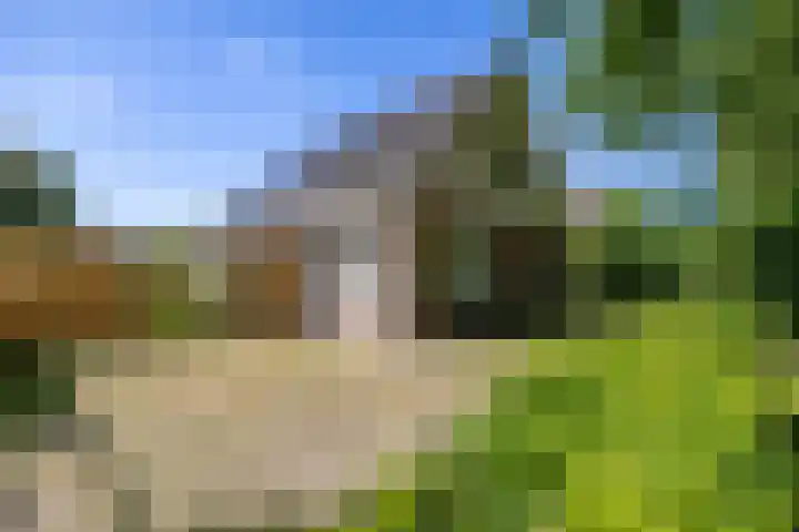 Lageweg 35 Zuidlaren thumbnail 10