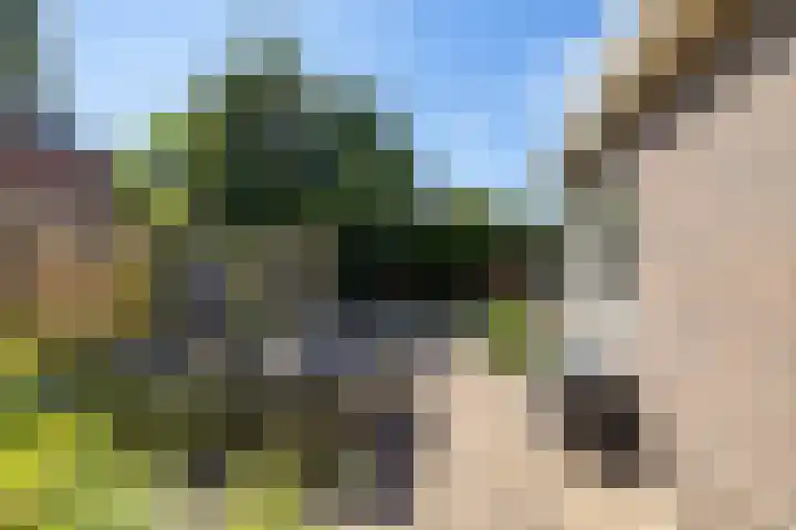 Lageweg 35 Zuidlaren thumbnail 30