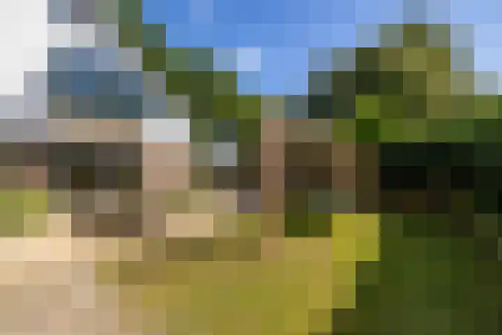 Lageweg 35 Zuidlaren thumbnail 32