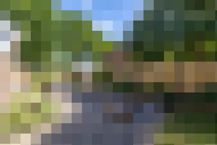Lageweg 35 Zuidlaren thumbnail 33