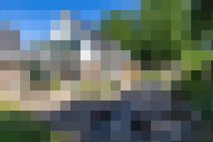 Lageweg 35 Zuidlaren thumbnail 7