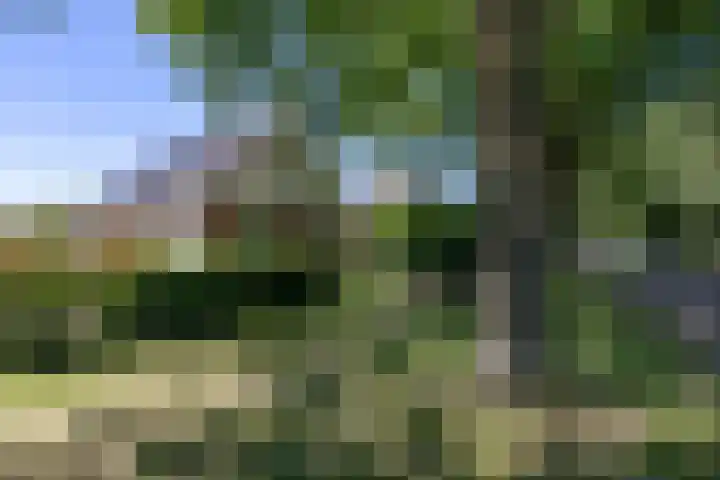 Lageweg 35 Zuidlaren thumbnail 9