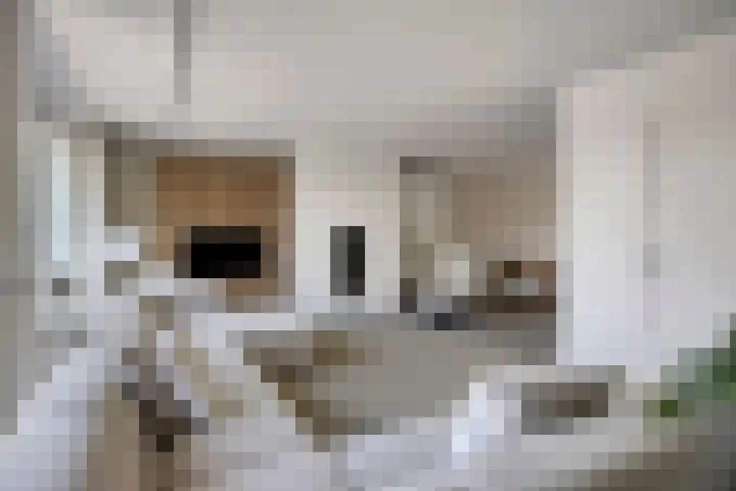Lageweg 36 Hierden thumbnail 11