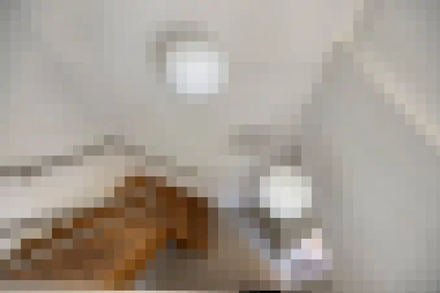 Lageweg 36 Hierden thumbnail 33