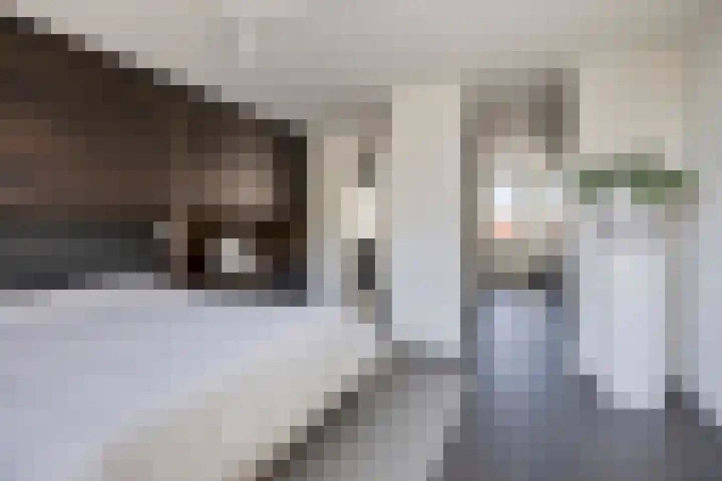 Lageweg 36 Hierden thumbnail 37