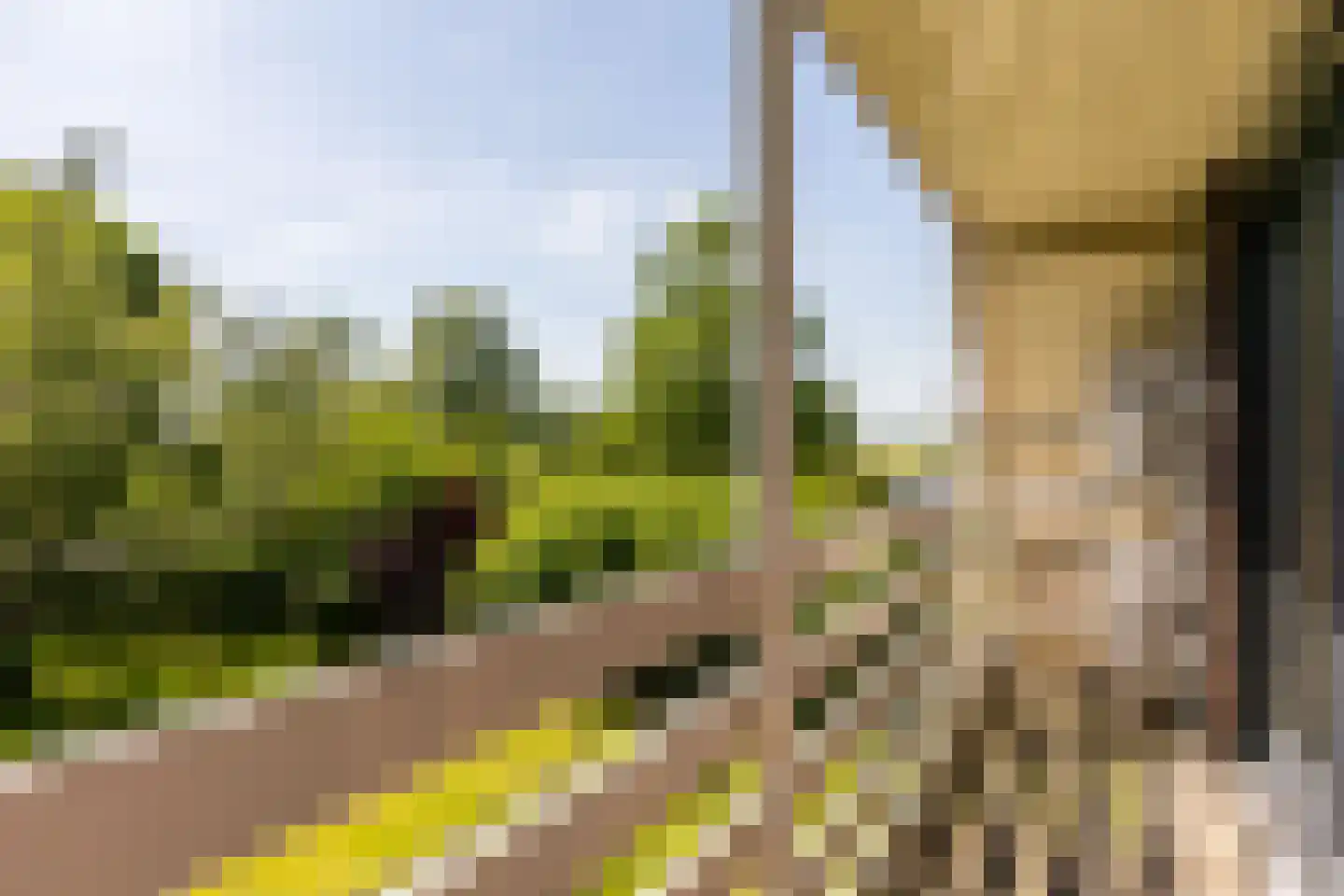 Lageweg 38 Ouderkerk aan den IJssel thumbnail 41