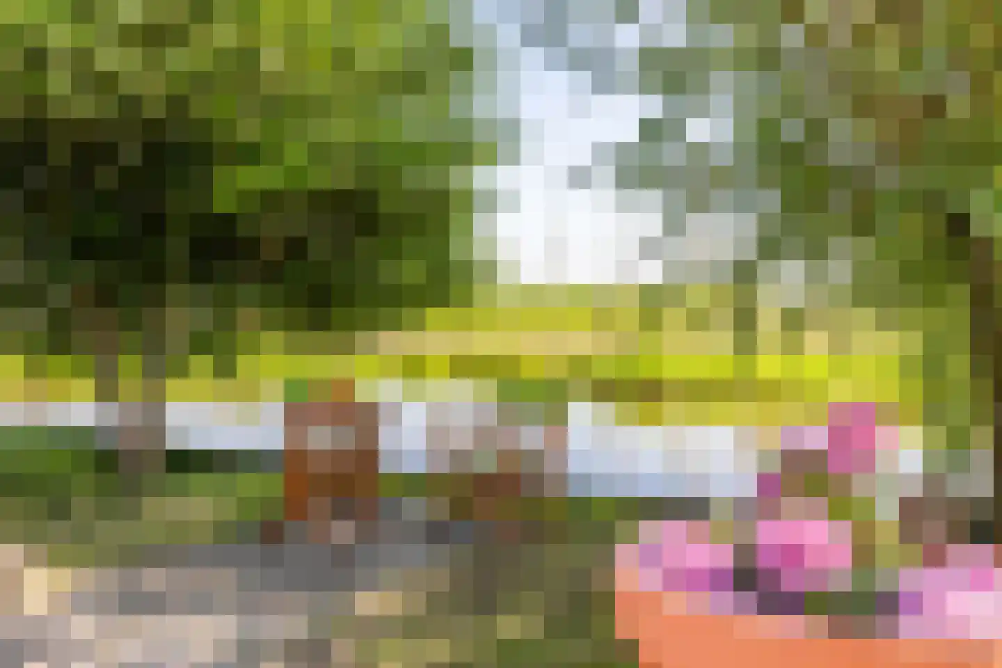 Lageweg 38 Ouderkerk aan den IJssel thumbnail 51