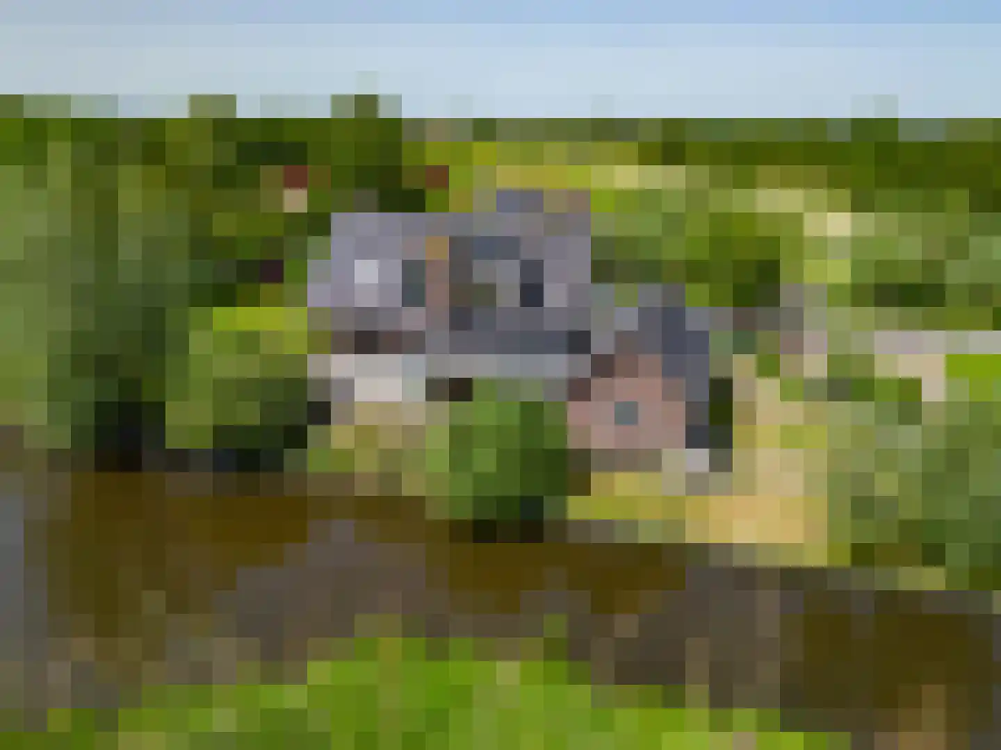 Lageweg 38 Ouderkerk aan den IJssel thumbnail 59