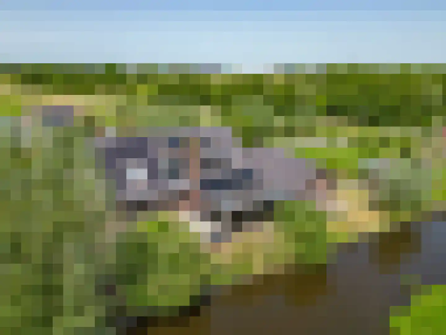 Lageweg 38 Ouderkerk aan den IJssel thumbnail 61